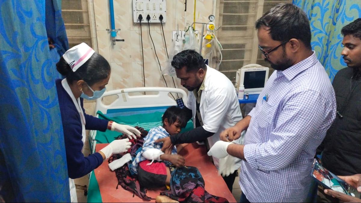 Leopard mauls seven-year-old boy at Valparai in Coimbatore district