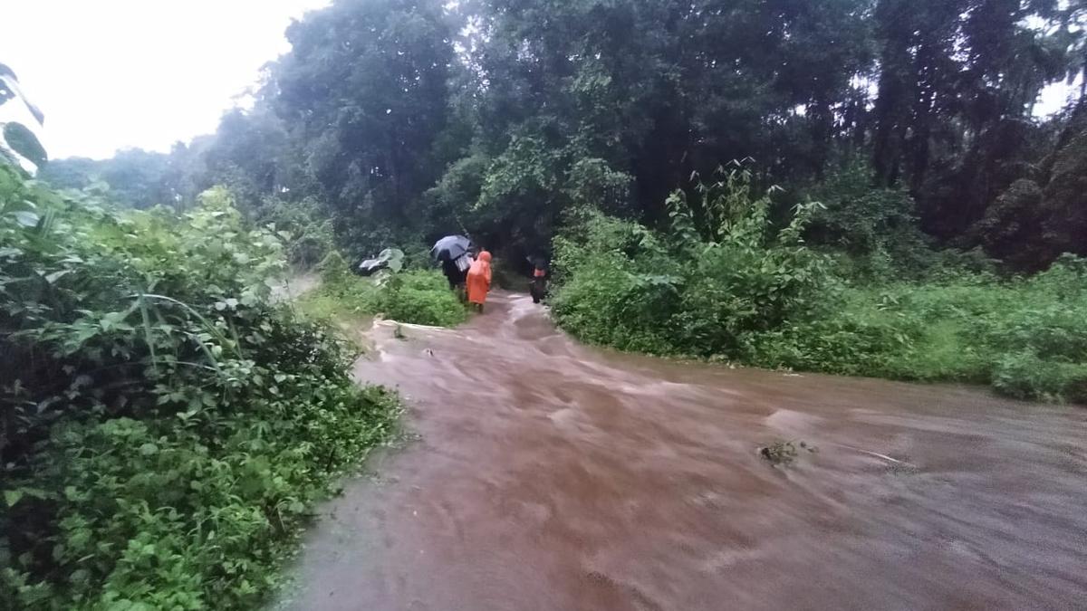 33 houses in Udupi, nine in Dakshina Kannada damaged due to rains