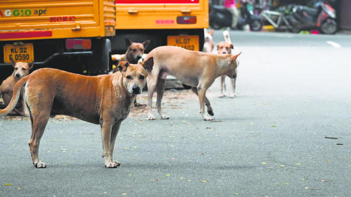 Yet another case of stray dogs killings in Telangana, case booked in Nagarkurnool