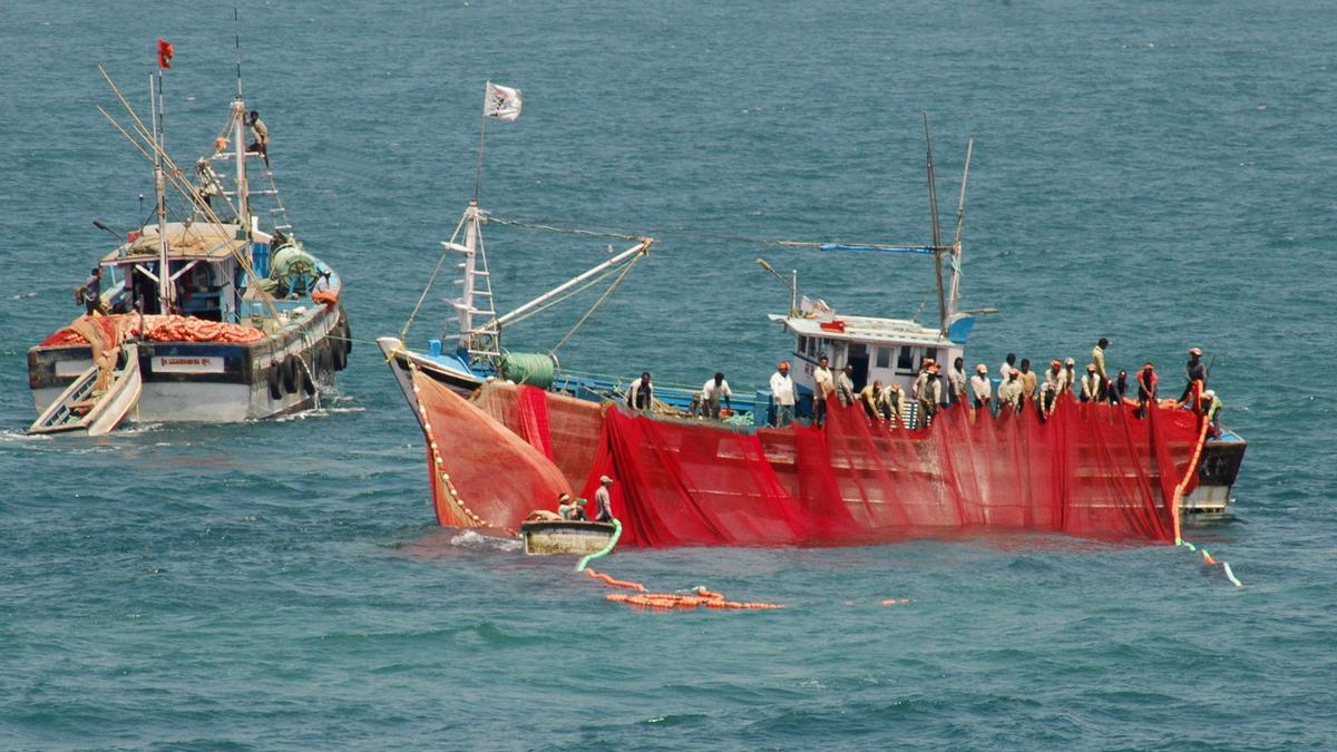 Purse Seine Fishing Reveals Faultlines In Fisher Community The Hindu