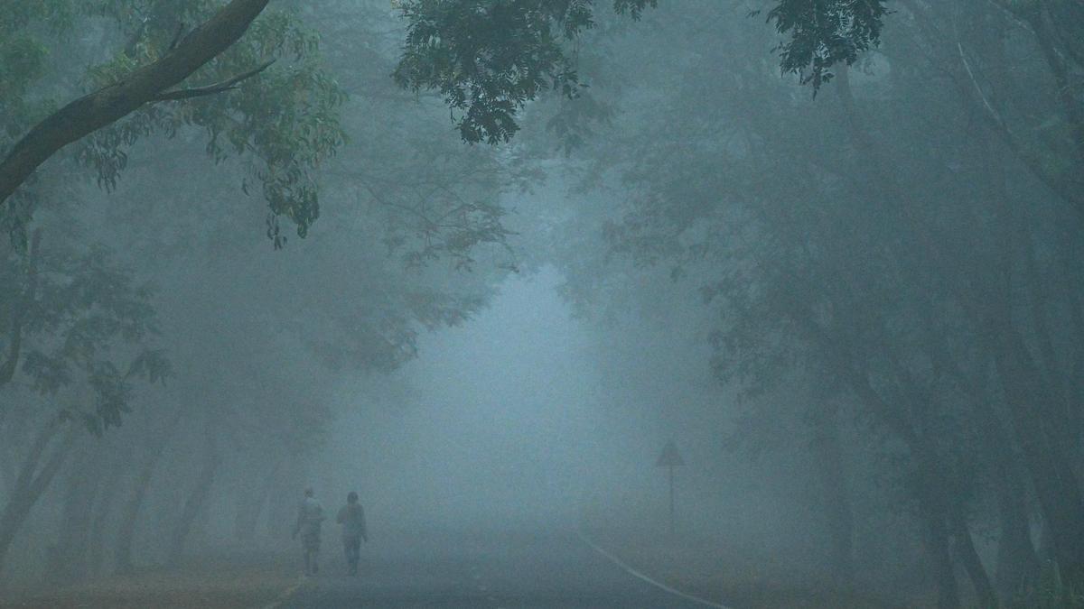 Cold wave grips ASR district as Araku shivers at a record 3.6°C