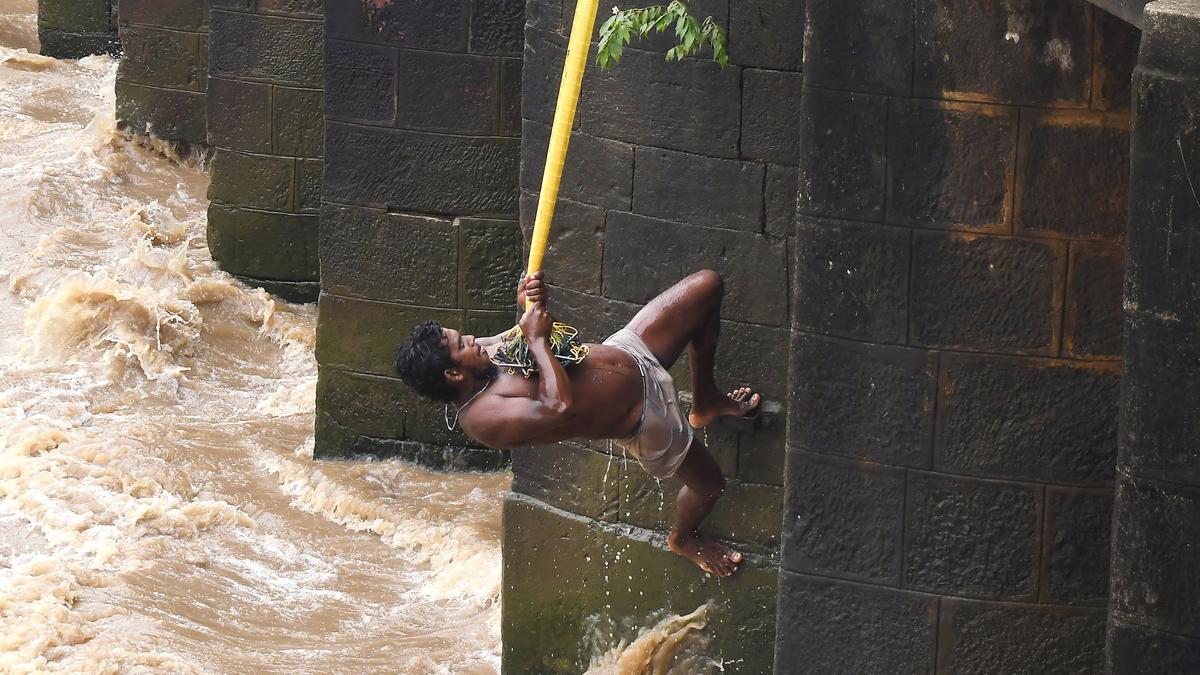Over 6,000 farmers report crop loss in Konaseema as Godavari recedes