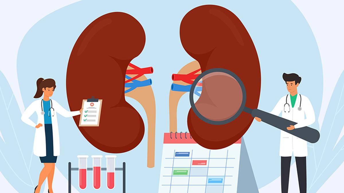 Kidney transplant racket in Hyderabad: Recipients paid ₹50 lakh, donors received ₹4 lakh