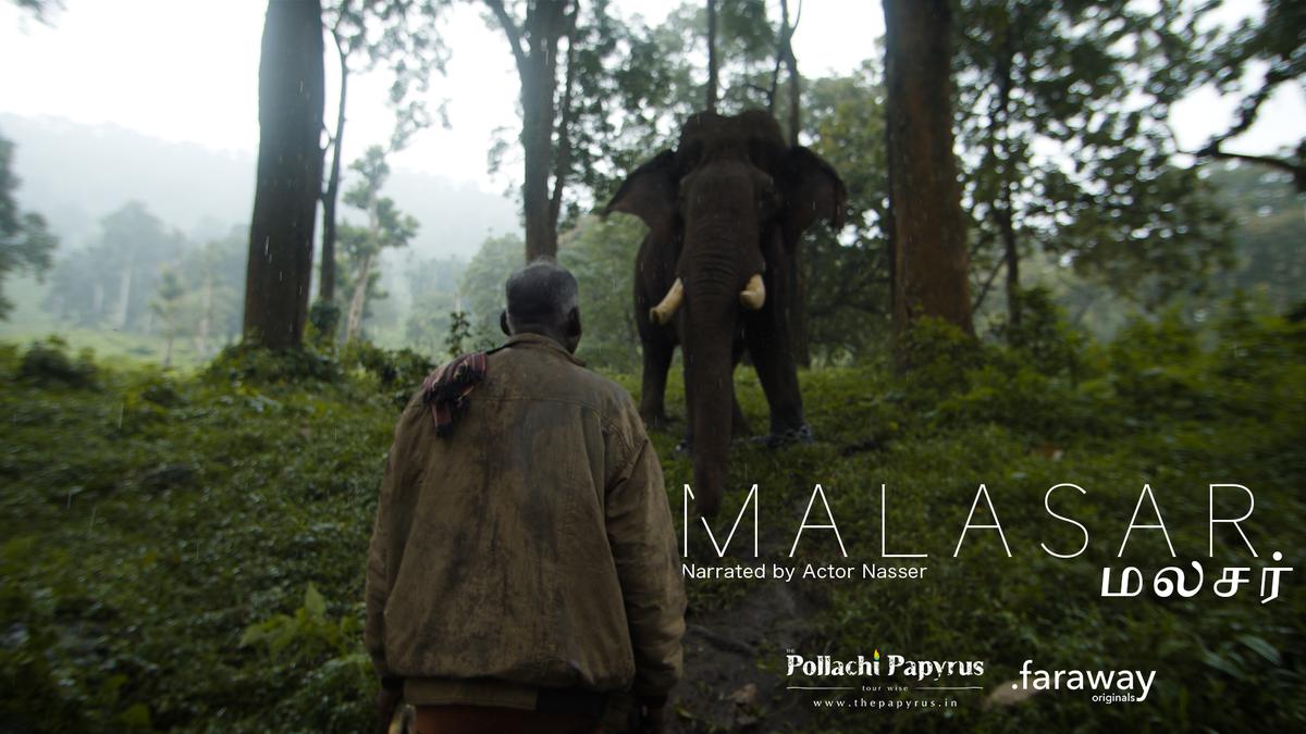 Anaimalai Wildlife Sanctuary, Topslip - The Pollachi Papyrus