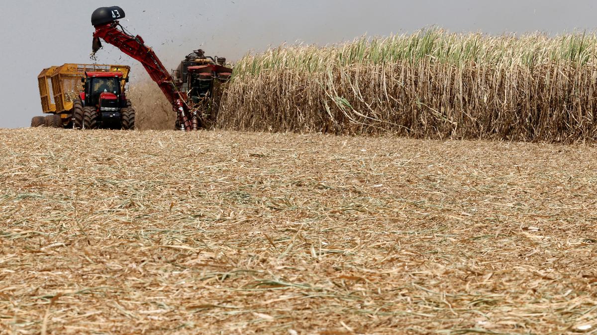 India, Brazil begin talks to resolve sugar-related trade dispute at WTO