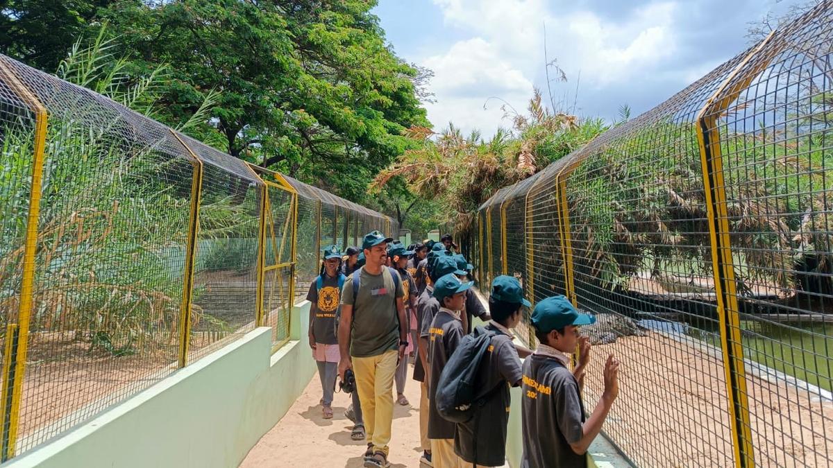 Forest Department plans to improve facilities at Amaravathy Crocodile Farm in Tiruppur