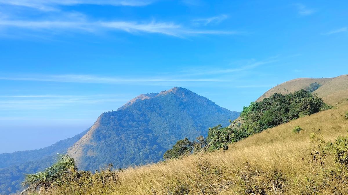 Kodachadri: Taking a treacherous road to enjoy breathtaking beauty 
Premium