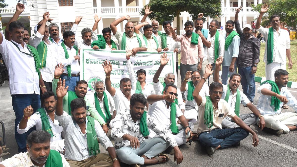 Mysuru farmers seek immediate paddy procurement registration