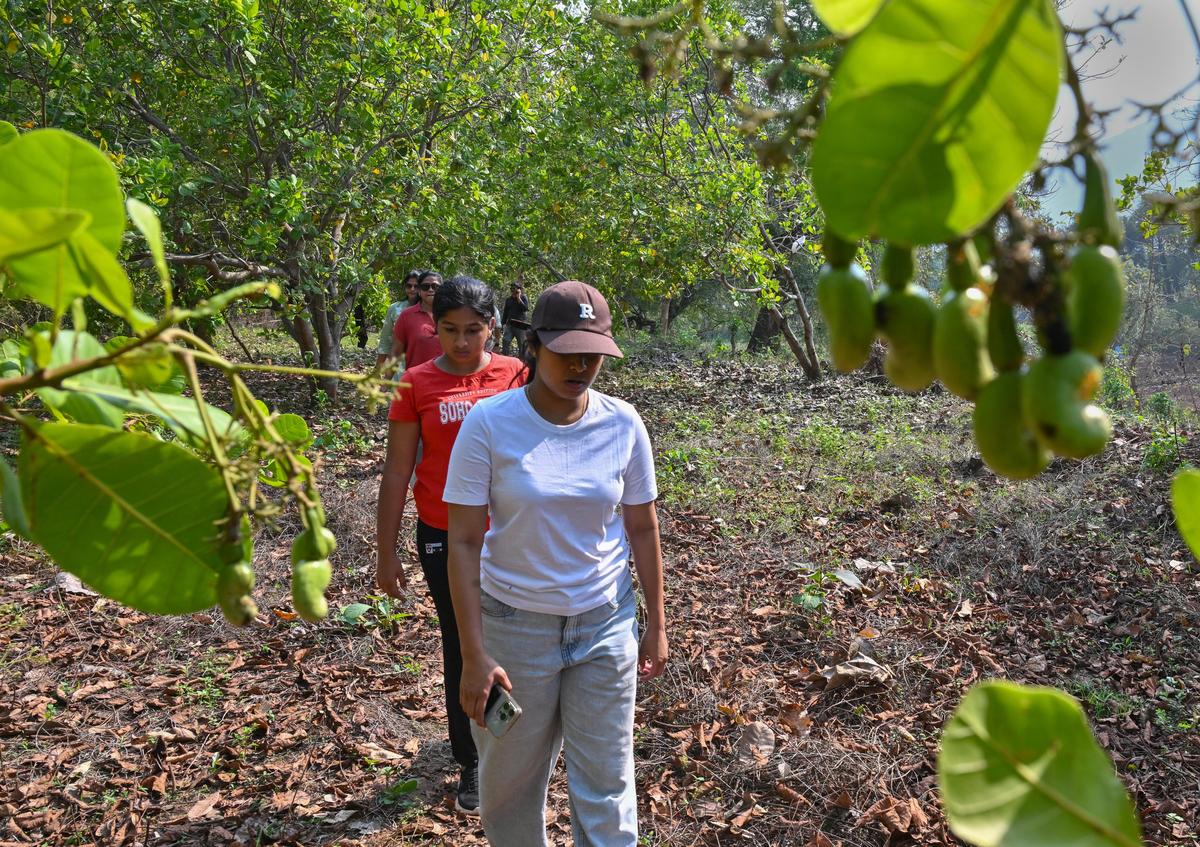 A group of people trekking across the nature trail through Vempallavalasa village near Anija in Rayagada, Odisha.