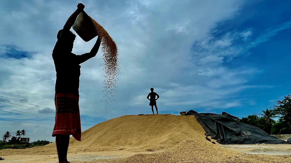 T.N. Civil Supplies Corporation explores possibility of using SHGs for paddy procurement