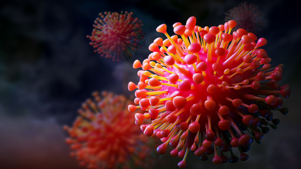 Can the Covid-19 pandemic end soon? The Hindu