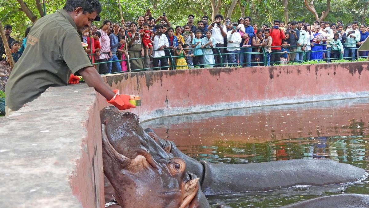 Winter camp for kids in Visakhapatnam zoo