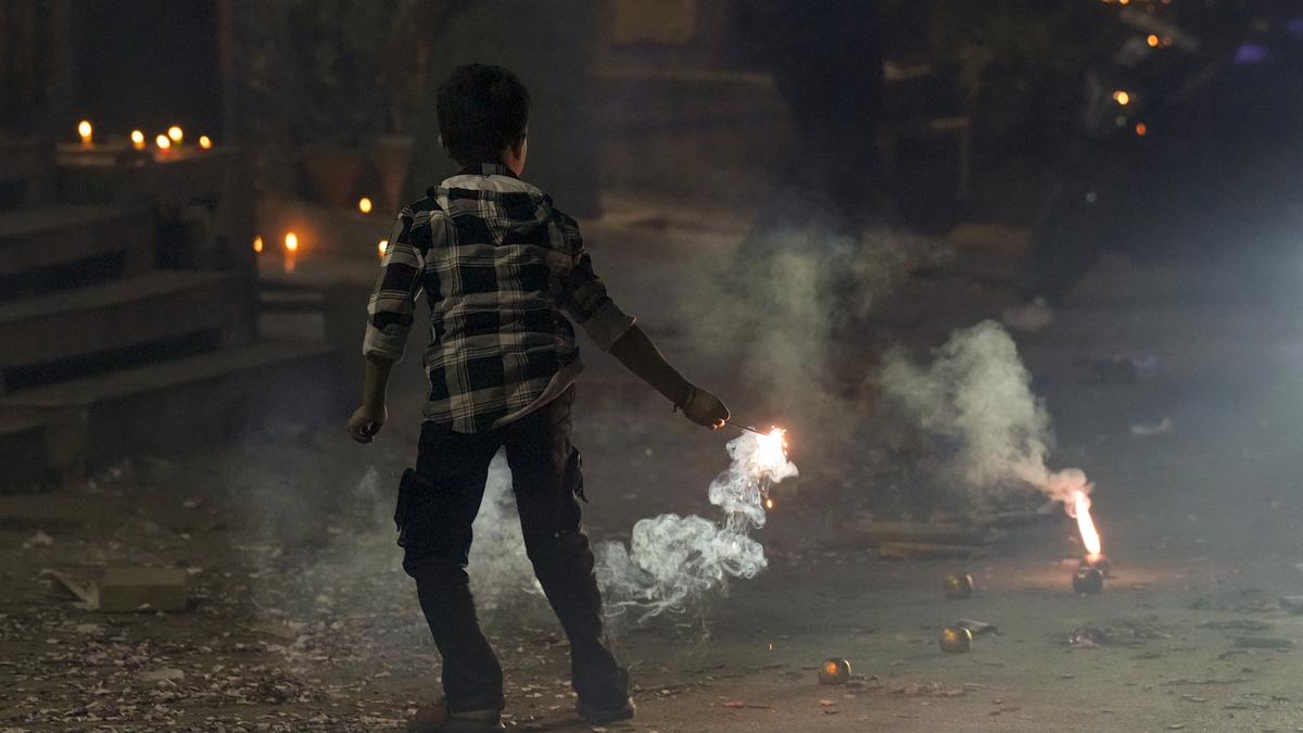 Permanent ban imposed on crackers, Delhi tells Supreme Court