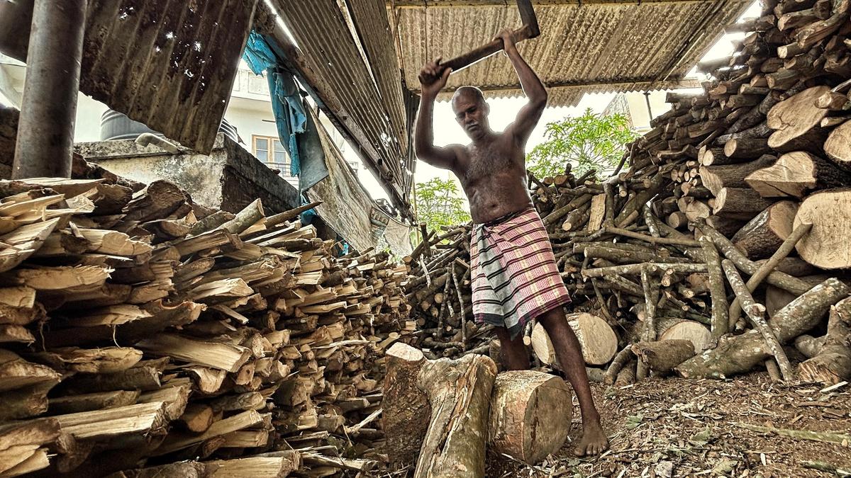 Firewood to the rescue as LPG goes scarce