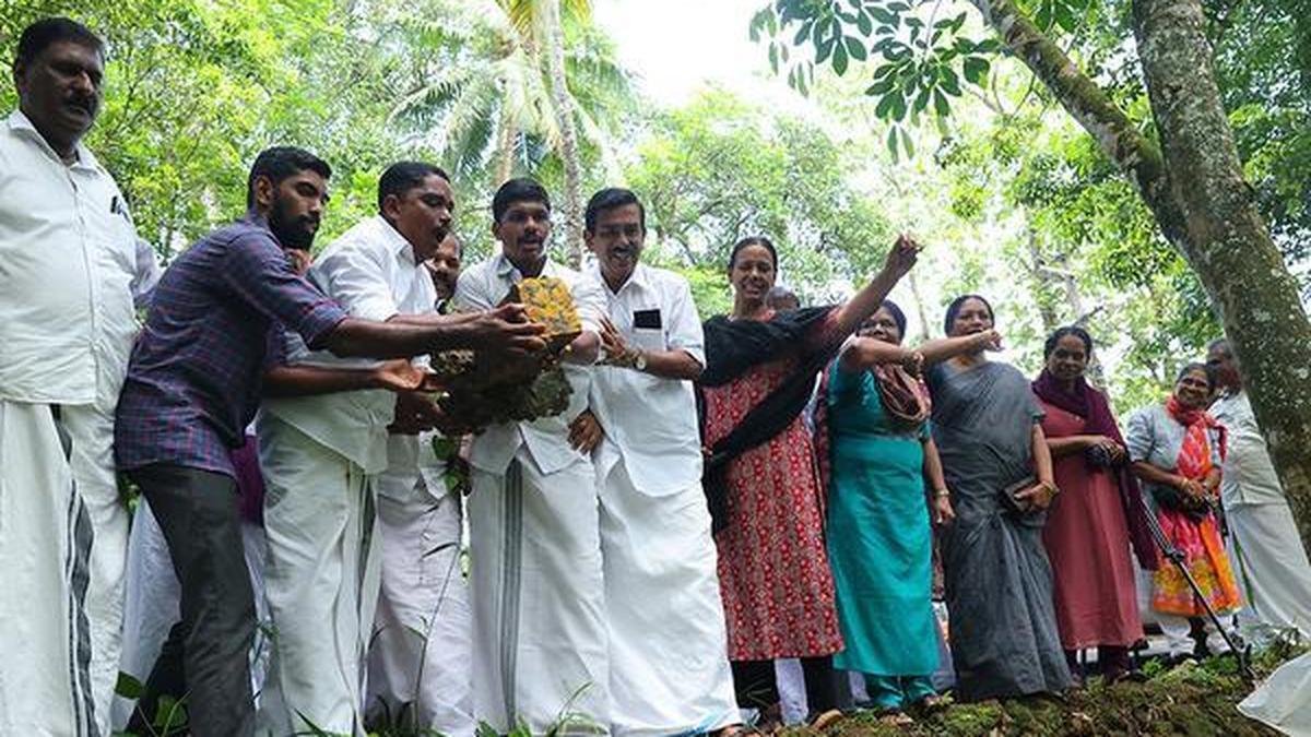 Why did Kerala scrap the SilverLine project?