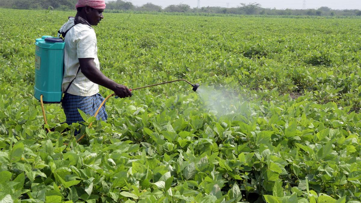 Thoothukudi farmers demand MSP for rabi crop