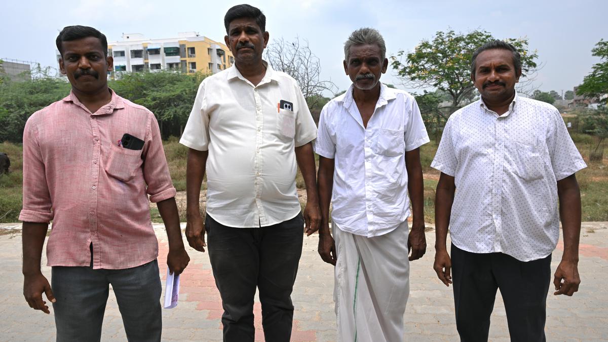 Famers seek release of water from Papanasam dam to save withering crops