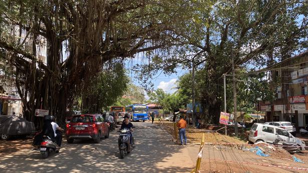 NECF contemplates approaching NGT over tree felling