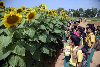 Integrated is way forward for agriculture and allied universities in  Karnataka: Experts - The Hindu