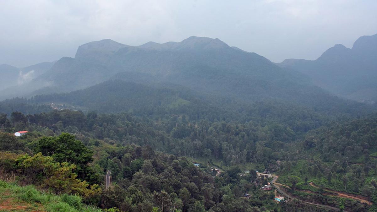 Hooch tragedy and prohibition promises hark back to chaotic days in Nilgiris under the British