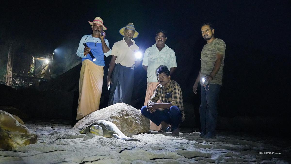 Saji Jayamohan (extreme right) while on a turtle watch at Thottappally beach Saji Jayamohan (extreme right) while on a turtle watch at Thottappally beach
