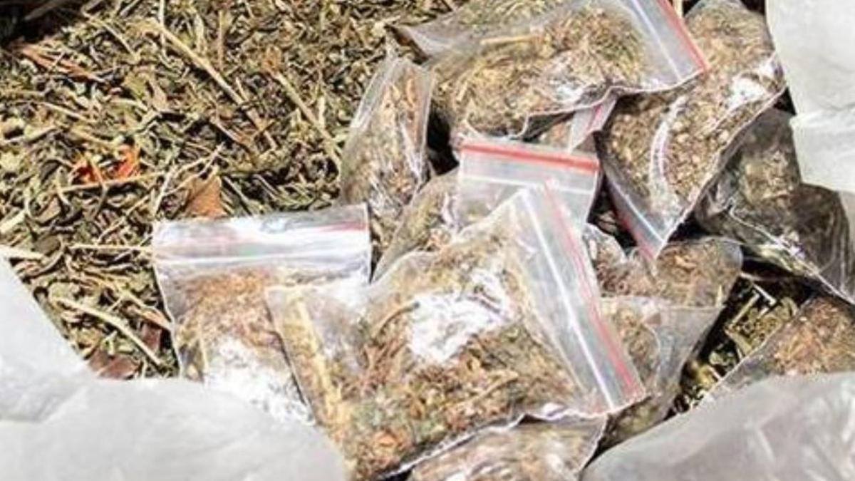 Three arrested while attempting to smuggle ganja near Pallavaram