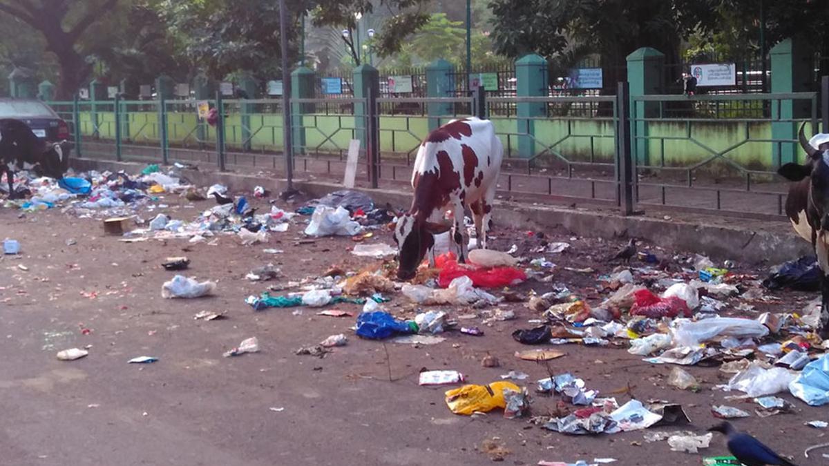 Tambaram Corporation to renovate over 50 parks