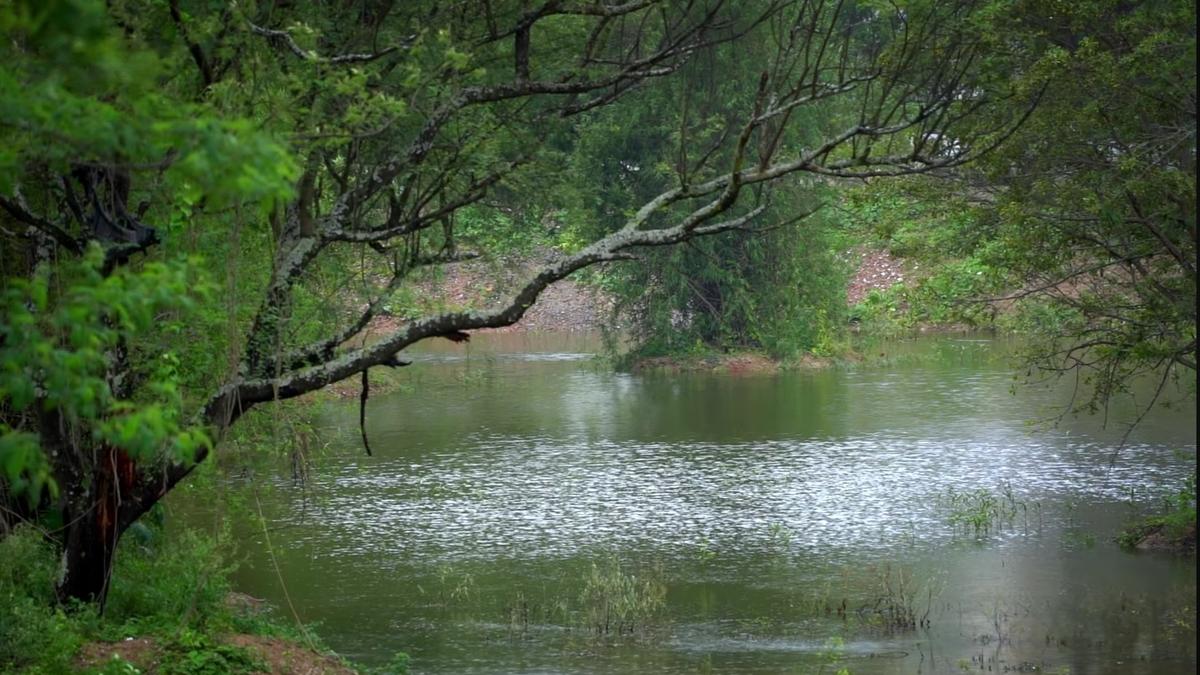 Once in neglect, Channasandra lake gets second lease of life 