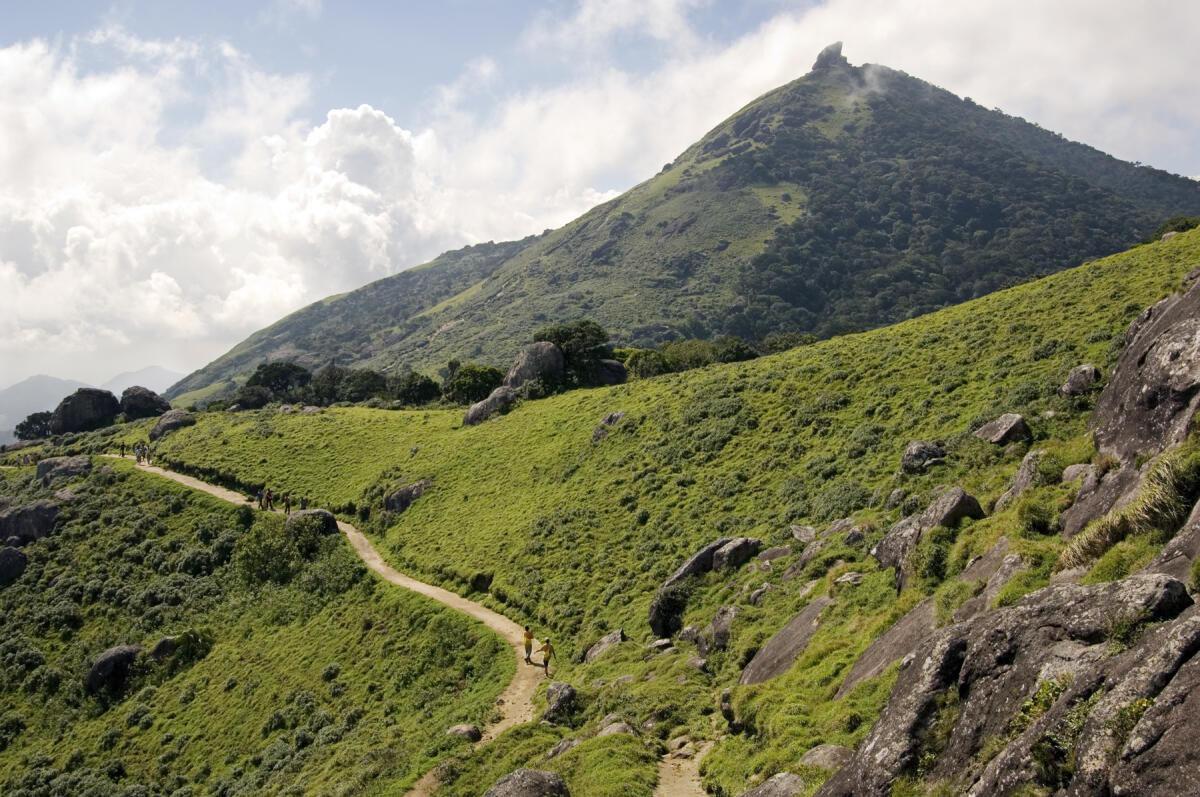 High Court directs Coimbatore DFO to decide on permitting Mahadeepam on Velliangiri hills