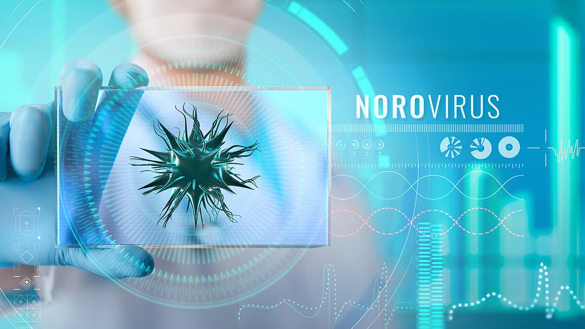 What is the ‘vomiting bug’ norovirus? Explained