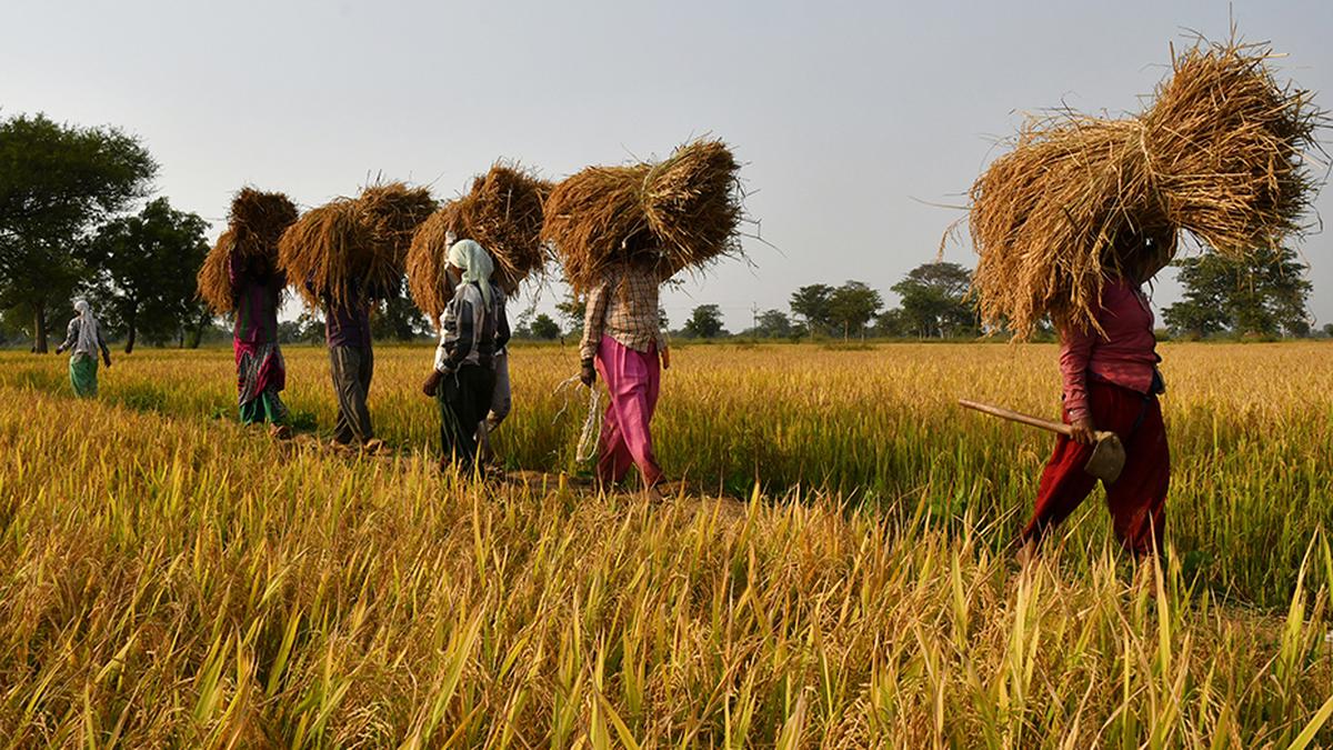 Has poverty really dropped to 5% in India?