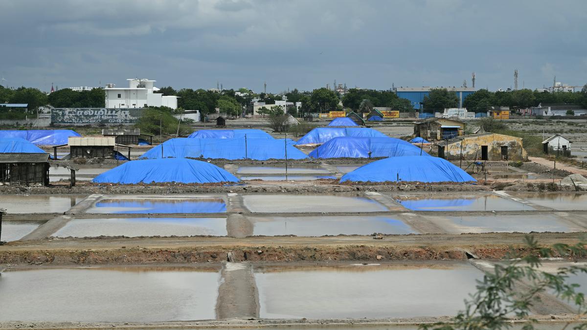 Thoothukudi wraps up salt season with over 17 lakh tonnes of production, higher than last year