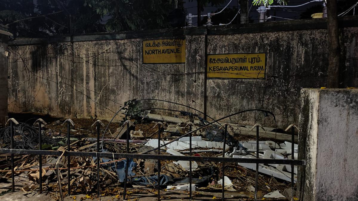 Better lighting, garbage clearance sought at North Avenue in Kesavaperumal Puram