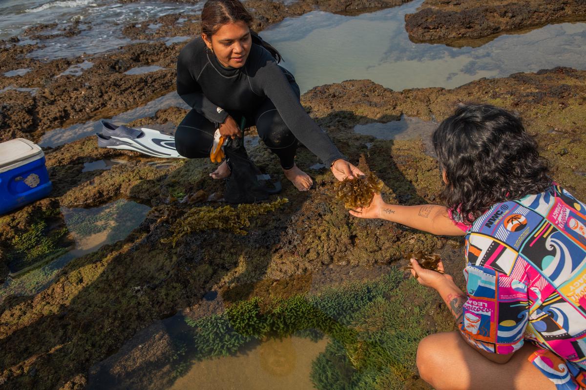 गैब्रिएला 