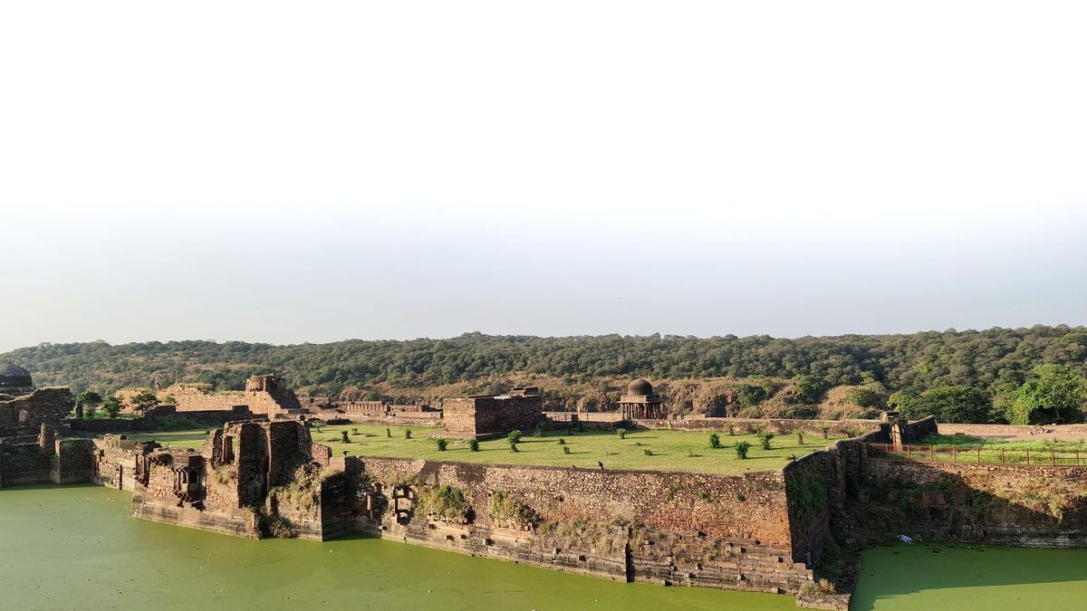 https://th-i.thgim.com/public/incoming/2fbsby/article69675990.ece/alternates/LANDSCAPE_1200/IMG_Ranthambore_4A_Fort_2_1_0SAP89SP.jpg