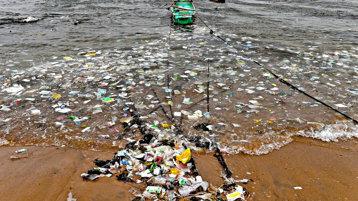 Prevent plastic pollution on beaches, Andhra Pradesh fishing community urges Tourism Minister