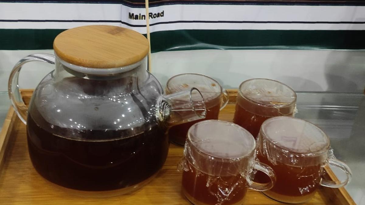 Millet pizza, burger, popcorn and muffin break culinary stereotypes at mela in Bengaluru