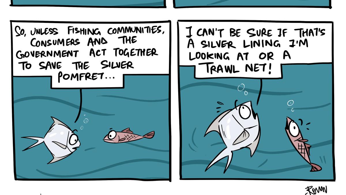 Green Humour by Rohan Chakravarty on the silver pomfret being declared State fish of Maharashtra to promote conservation