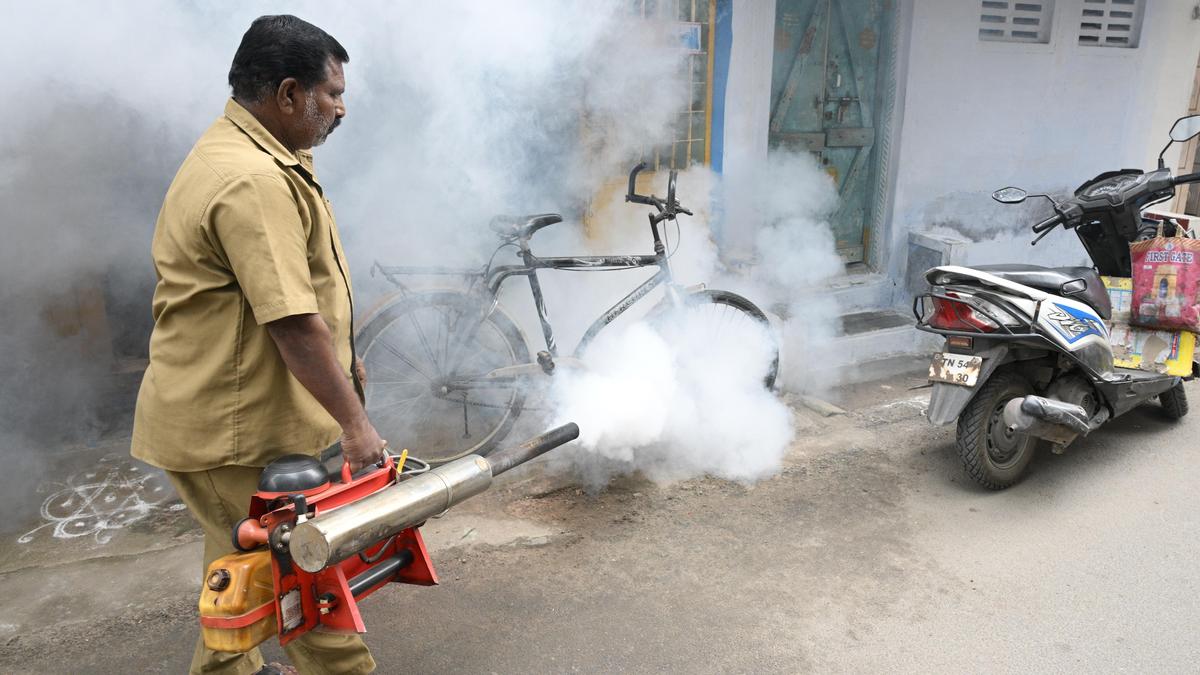 Health Department intensifies anti-dengue and anti-chikungunya measures in Salem Corporation