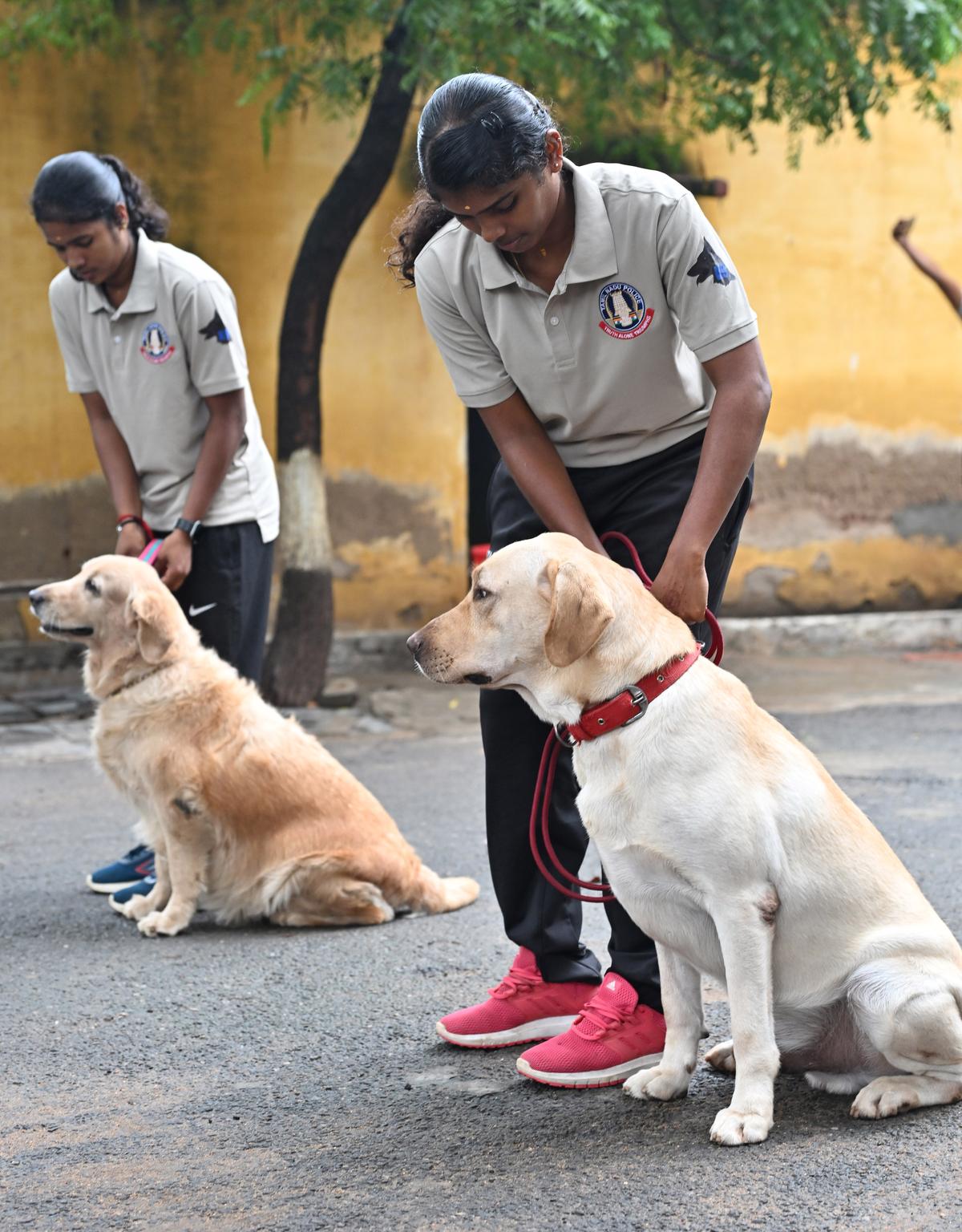 FOR COIMBATORE, 15/10/2024:
 (for Metroplus story):
For the first time in Tamil Nadu, two women constables, P Bhavani and S Kavipriya, have been appointed as sniffer dog handlers by Coimbatore City Police.
PHOTO: Siva Saravanan S / The Hindu.