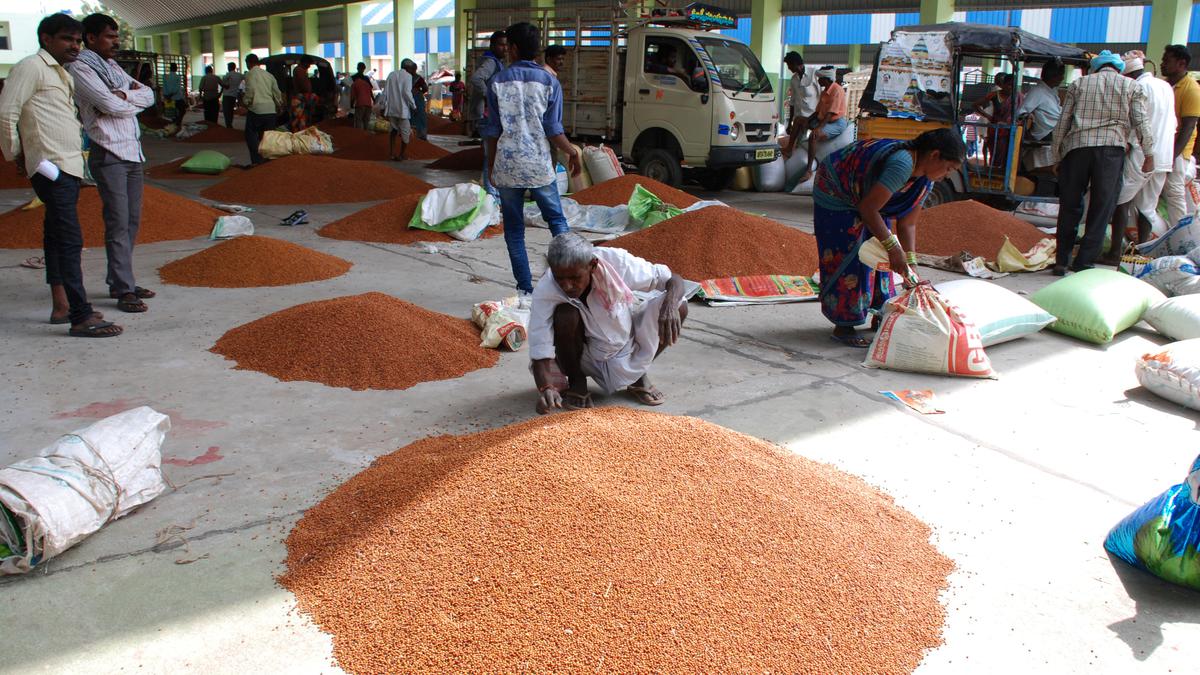 Telangana’s Tandur red gram gets GI tag