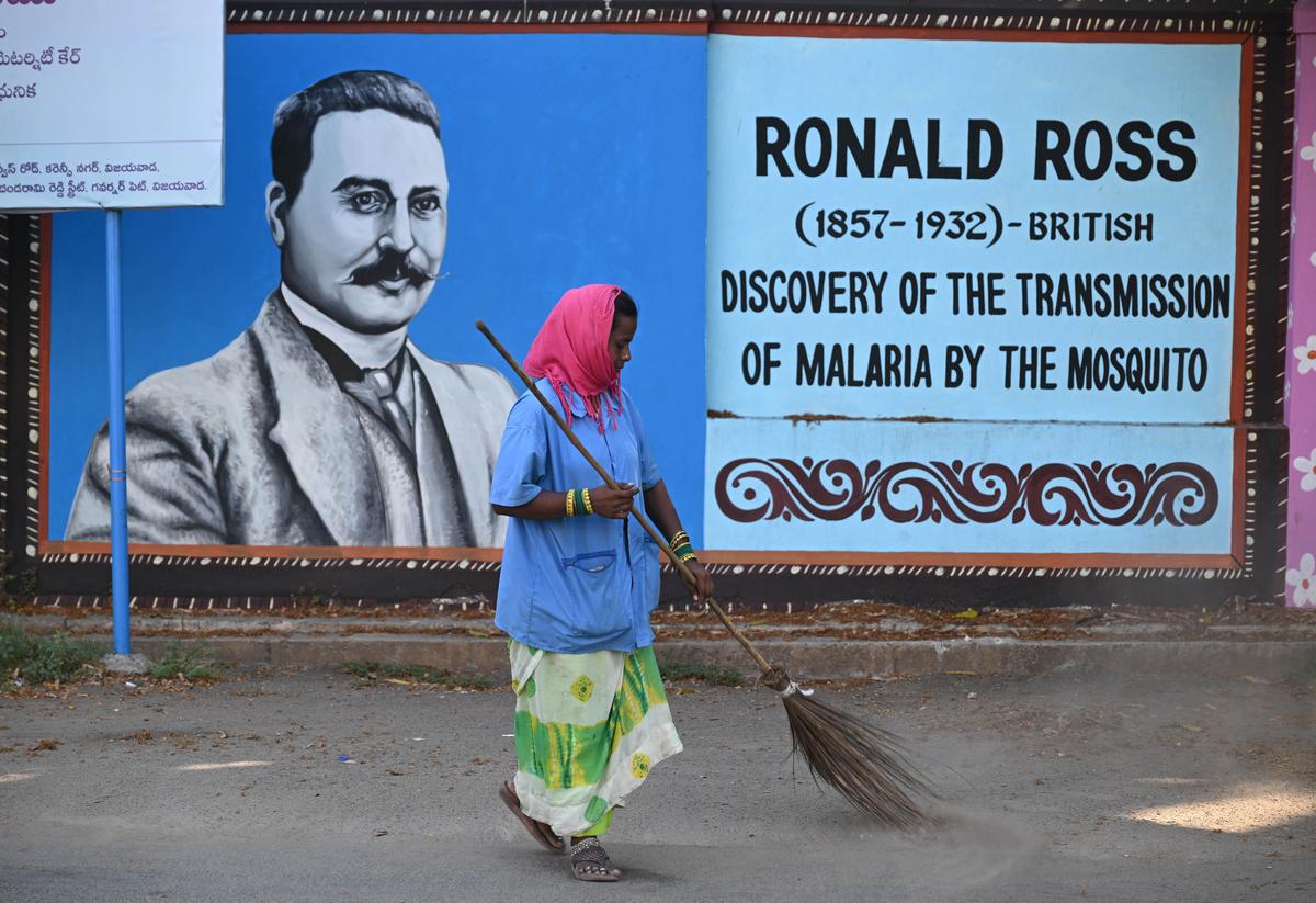 A municipal worker sweeps the road in front of a wall painting that depicts Sir Ronald Ross, known for demonstrating that the Anopheles mosquitoes transmit the Plasmodium parasite, providing the first evidence-based explanation of malaria transmission