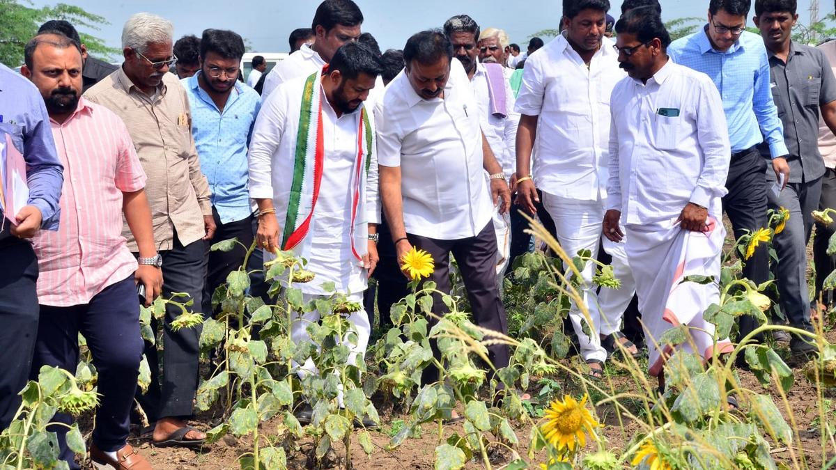 Drought relief is our right, says Minister