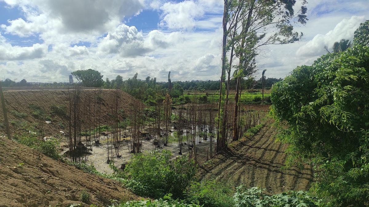 Floods in Anekal taluk: Residents, farmers blame NGO for ‘shoddy’ lake work
Premium