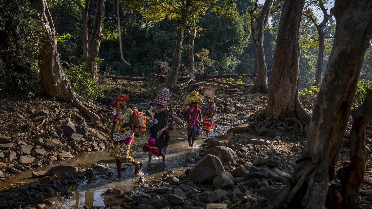 National Commission for Scheduled Tribes’ position on new Forest