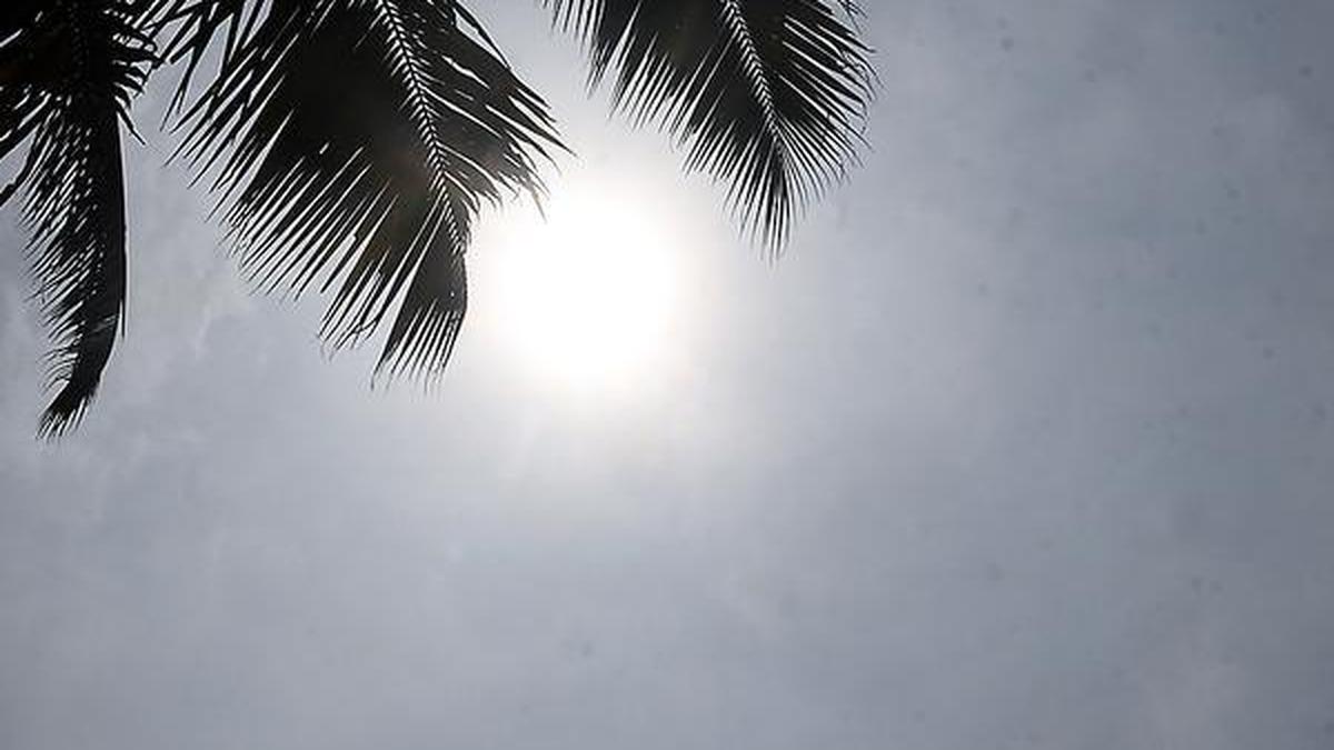 Kerala faces hot, humid weather as summer showers remain scanty