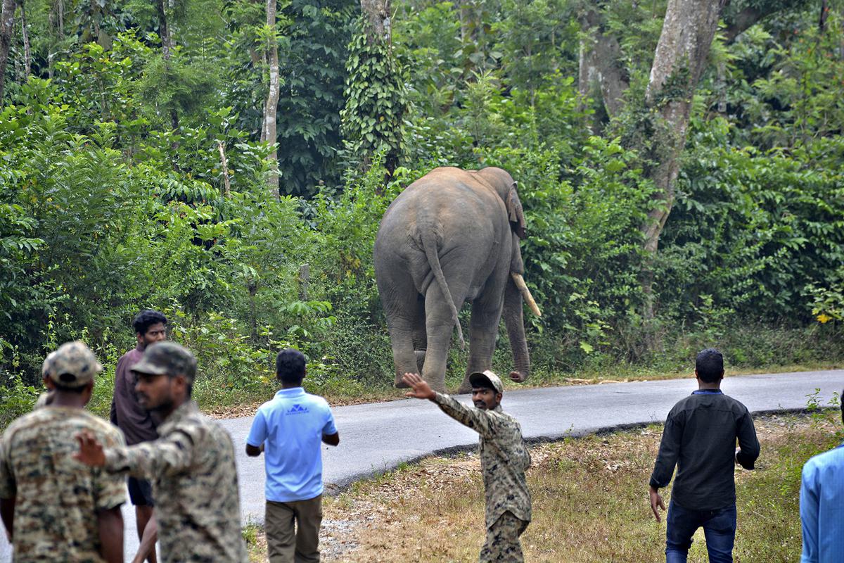 Elephant task force: Elected representatives, planters and officers not impressed