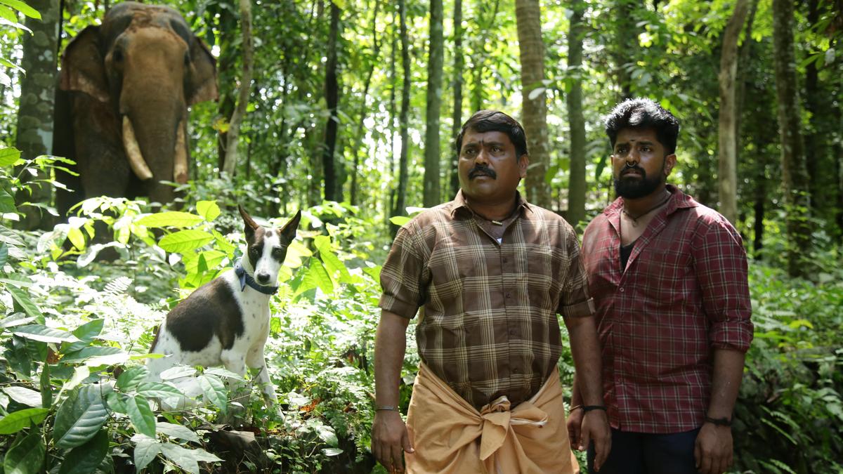 ‘Alangu’ director SP Sakthivel on how Mani, an indie dog, sparked the idea for his film