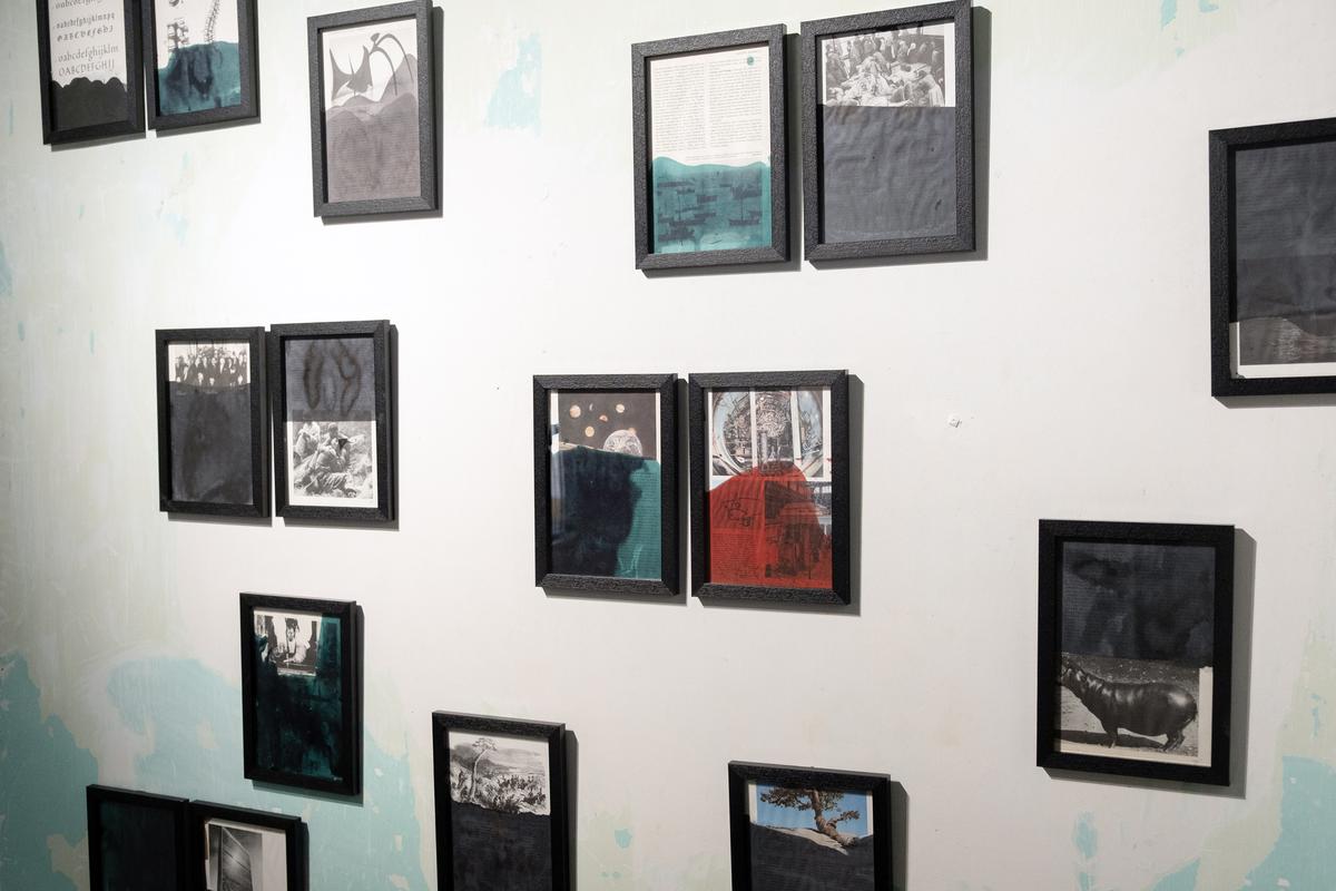 Cartilagem da Exposição de notas de rodapé