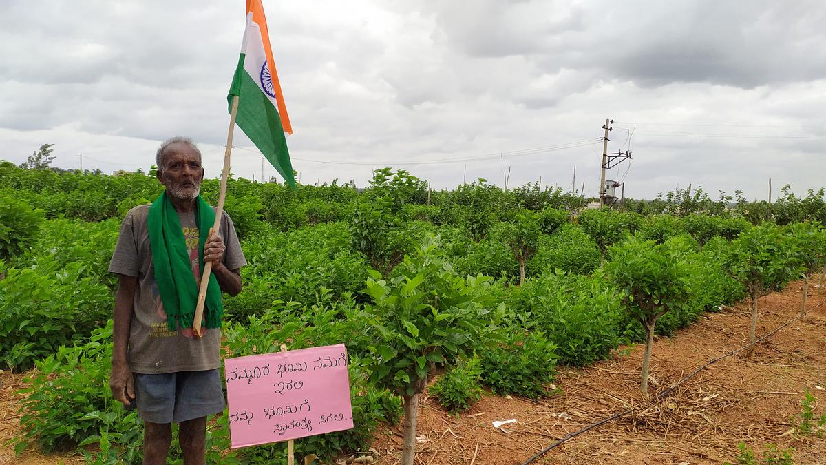 460 days of persistent protests to save farmland